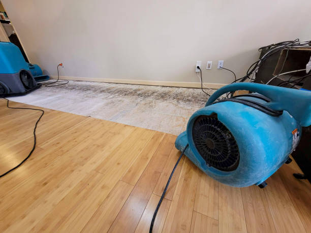 Professional Flood Damage Cleanup technician working in Sontag, MS